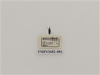 藏品(鞘翅目(2))的圖片